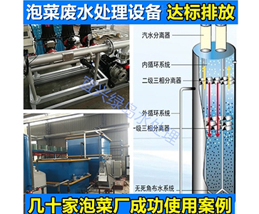 FL泡菜廢水處理設(shè)備 廠(chǎng)家直···